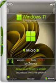Windows 11 Pro 22H2 (22610.1)