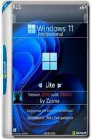 Windows 11 Pro 22H2 (22610.1)